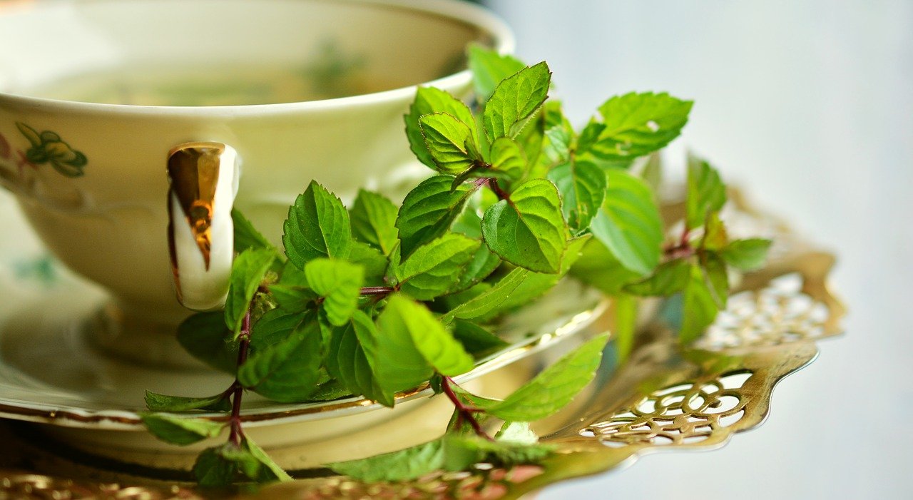 peppermint, peppermint tea, mint-2816012.jpg